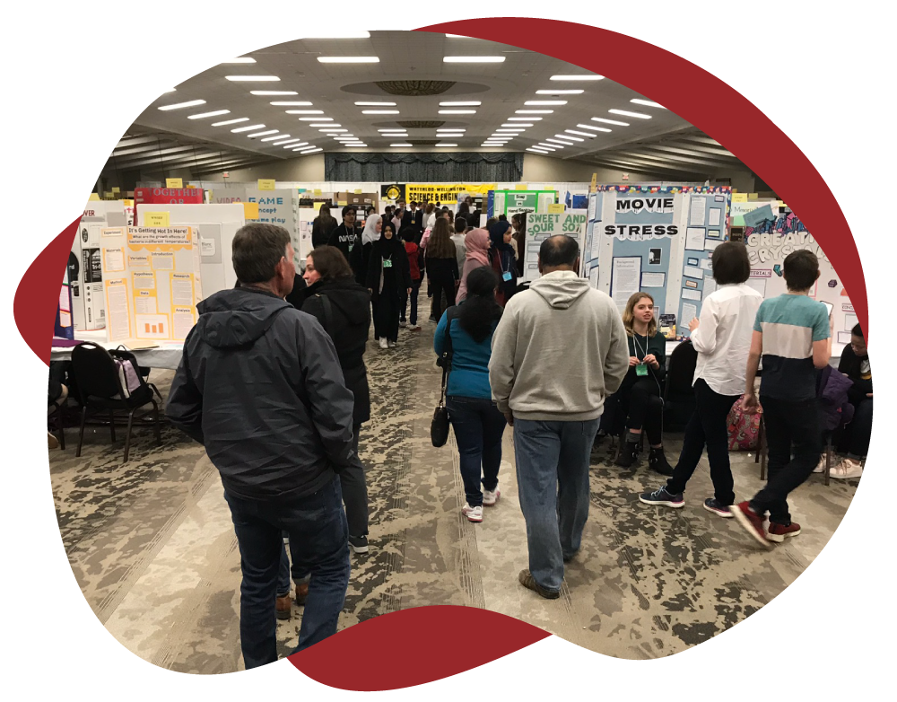 WWSEF Fair Display